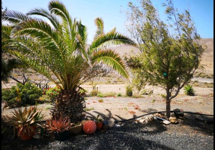 Casa La Solapa Villa Pájara Kültér fotó